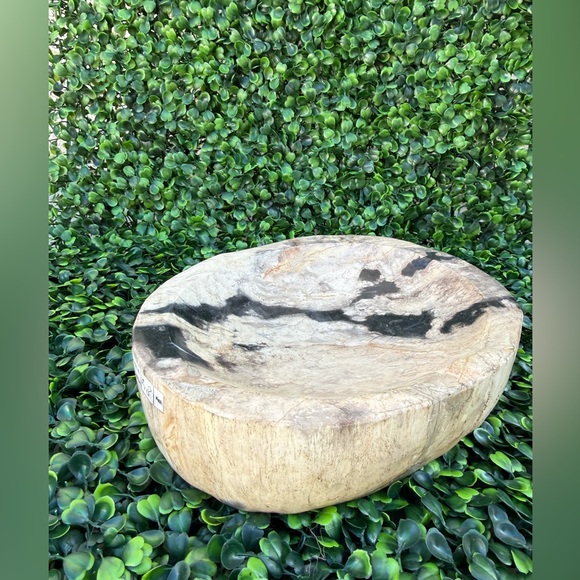 Other - Petrified Wood Bowl • Grounding • Ancestral Wisdom • Earth Energy